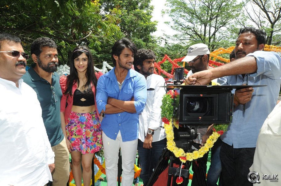 Garam-Movie-Opening-Photos